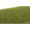 Static Grass - Field System - 1/8′ 4mm Fibers -- Medium Green, All Scales, Woodland Scenics 618