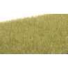 Static Grass - Field System - 1/8′ 4mm Fibers -- Light Green, All Scales, Woodland Scenics 619