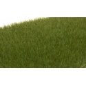 Static Grass - Field System - 1/8′ 4mm Fibers -- Dark Green, All Scales, Woodland Scenics 617