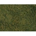 Tear & Plant Tall Grass -- Light Green - Measures 7-7/8 x 9′ 20 x 23cm, All Scales, Walthers SceneMaster 1222