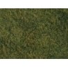Tear & Plant Tall Grass -- Light Green - Measures 7-7/8 x 9′ 20 x 23cm, All Scales, Walthers SceneMaster 1222