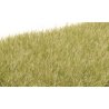 Static Grass - Field System -- Light Green 1/4′ 7mm Fibers, All Scales, Woodland Scenics 623