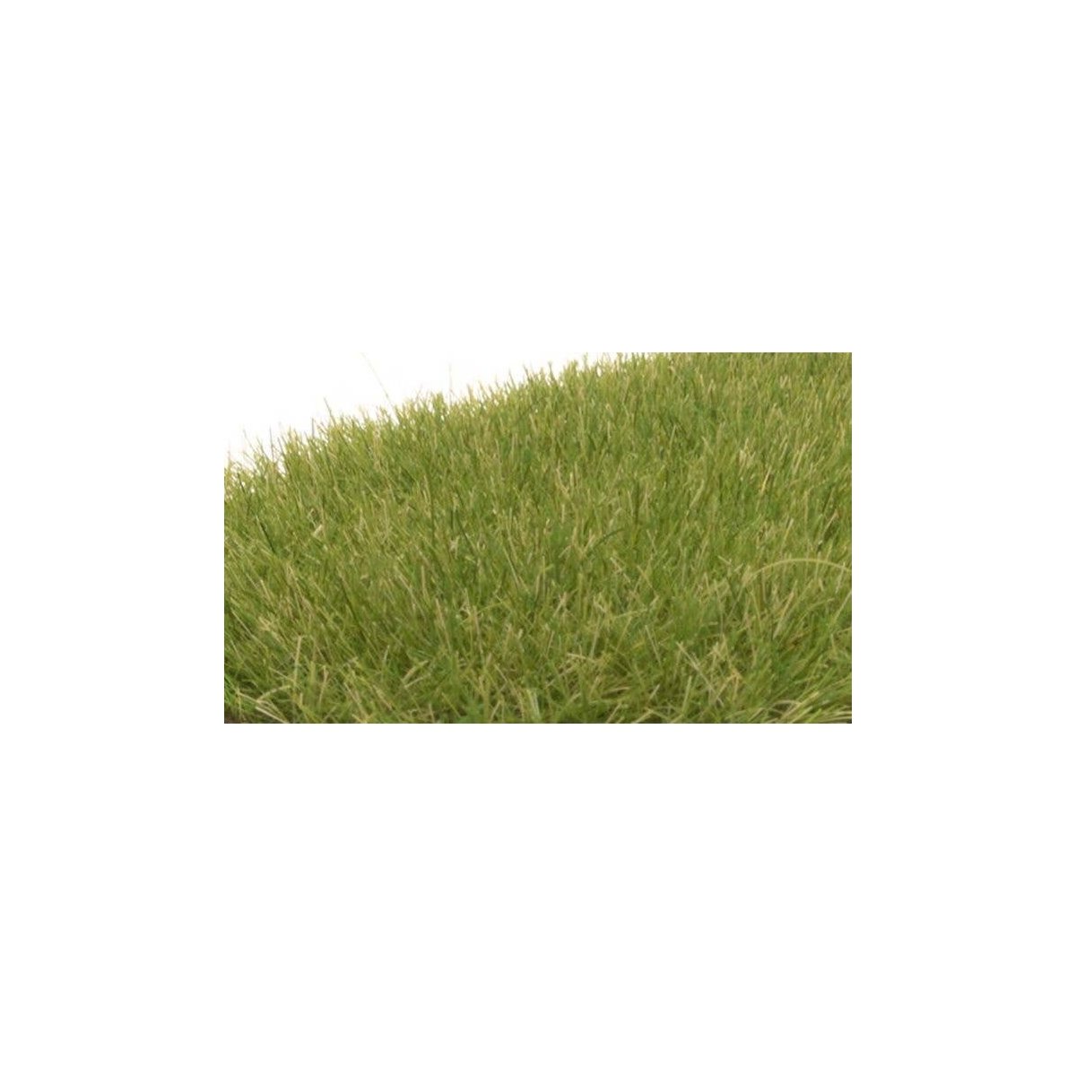 Static Grass - Field System -- Medium Green - 1/4′ 7mm Fibers, All Scales, Woodland Scenics 622