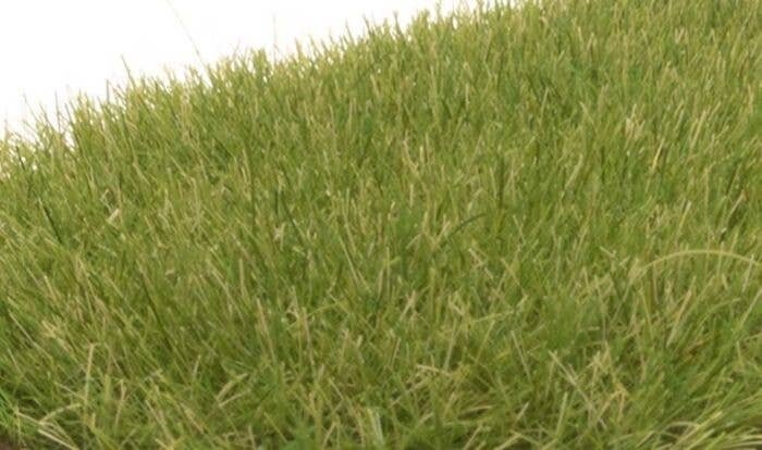 Static Grass - Field System -- Medium Green - 1/4′ 7mm Fibers, All Scales, Woodland Scenics 622