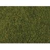 Tear & Plant Meadow Grass -- Light Green - Measures 7-7/8 x 9′ 20 x 23cm, All Scales, Walthers SceneMaster 1224