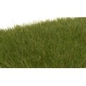Static Grass - Field System -- Dark Green 1/4′ 7mm Fibers, All Scales, Woodland Scenics 621