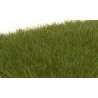 Static Grass - Field System -- Dark Green 1/4′ 7mm Fibers, All Scales, Woodland Scenics 621