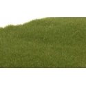 Static Grass - Field System -- Dark Green Fibers - 1/16′ 2mm, All Scales, Woodland Scenics 613