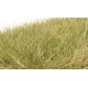 Static Grass - Field System -- Light Green 1/2′ 12mm Fibers, All Scales, Woodland Scenics 627