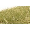 Static Grass - Field System -- Light Green 1/2′ 12mm Fibers, All Scales, Woodland Scenics 627