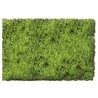 Flock & Turf - Scenic Foams & Ground Textures - Blended Tones - 64 Ounces -- Scrub Lawn Bl, All Scales, Scenic Express 882C