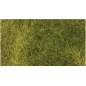 Wild Grass Pad - 11 x 5-1/2′ 27.4 x 14cm -- Meadow Green, All Scales, Heki/Mini Forest 1575