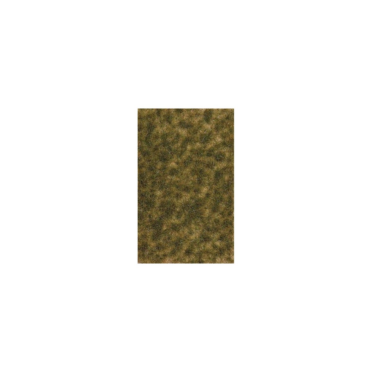 Grass Tuft Sheet -- 2-Color Long Late Summer Tufts 1/4` .6cm Tall, 5-7/16 x 3-7/16` 13, All Scales, Busch Gmbh & Co Kg 3538