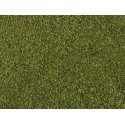 Leafy Foliage Sheet -- Medium Green 7-7/8 x 9′ 20 x 23cm, All Scales, Noch Gmbh & Co 7300