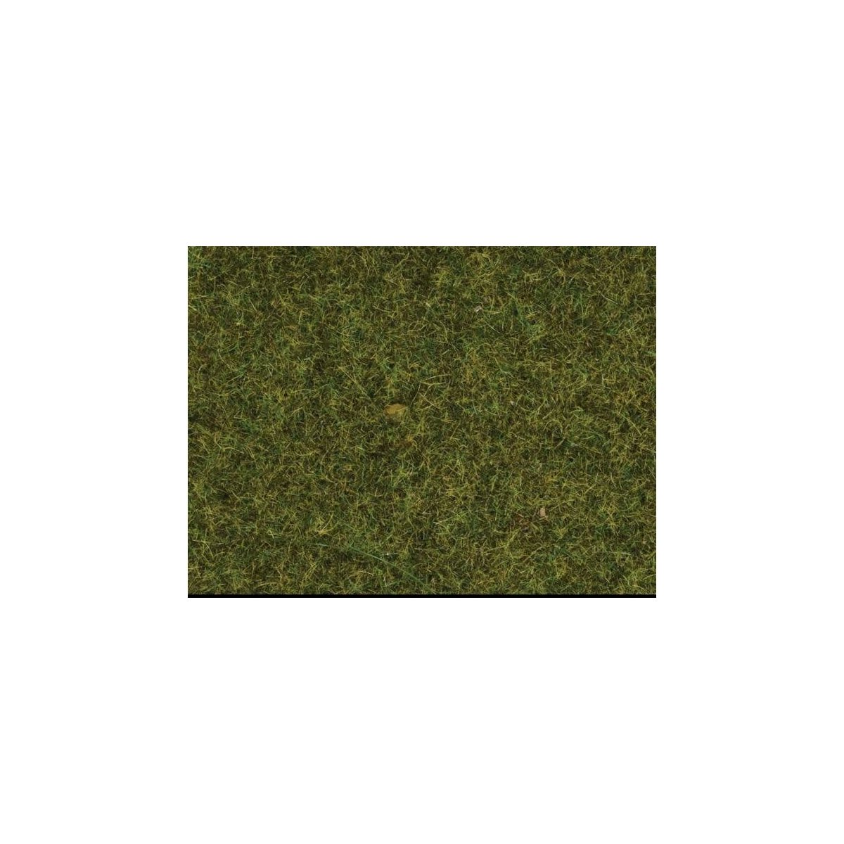 Static Wild Grass - 1.8oz 50g 3/8′ .9cm fibers -- Meadow, All Scales, Noch Gmbh & Co 7117