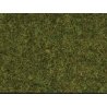 Static Wild Grass - 1.8oz 50g 3/8′ .9cm fibers -- Meadow, All Scales, Noch Gmbh & Co 7117