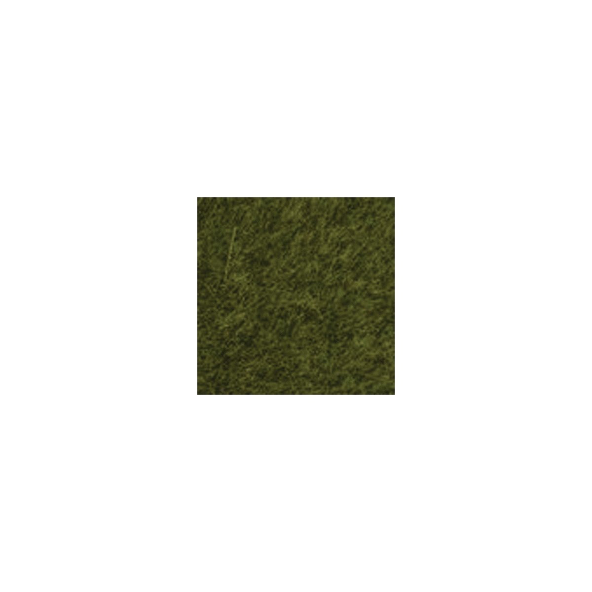 Static Wild Grass - 1.8oz 50g -- Wild Grass Meadow, Long Fibers 1/4′ .6cm Long, All Scales, Noch Gmbh & Co 7100