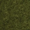 Static Wild Grass - 1.8oz 50g -- Wild Grass Meadow, Long Fibers 1/4′ .6cm Long, All Scales, Noch Gmbh & Co 7100