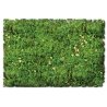 Flock & Turf - Scenic Foams & Ground Textures - Blended Tones - 32 Ounces -- Alpine Meadow, All Scales, Scenic Express 884B