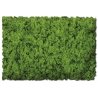 Flock & Turf - Scenic Foams & Ground Textures - Green Tones - 32 Ounces -- Spring Green - , All Scales, Scenic Express 811B
