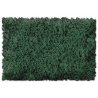 Flock & Turf - Scenic Foams & Ground Textures - Green Tones - 32 Ounces -- Sage Green - Co, All Scales, Scenic Express 825B