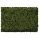 Flock & Turf - Scenic Foams & Ground Textures - Green Tones - 32 Ounces -- Burnt Green - C, All Scales, Scenic Express 813B