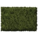 Flock & Turf - Scenic Foams & Ground Textures - Green Tones - 32 Ounces -- Burnt Green - C, All Scales, Scenic Express 813B