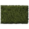 Flock & Turf - Scenic Foams & Ground Textures - Green Tones - 32 Ounces -- Burnt Green - C, All Scales, Scenic Express 813B