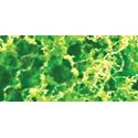 Foliage Fiber Cluster -- Coarse Light Green 150 Square Inches, All Scales, JTT Miniature Tree 95057