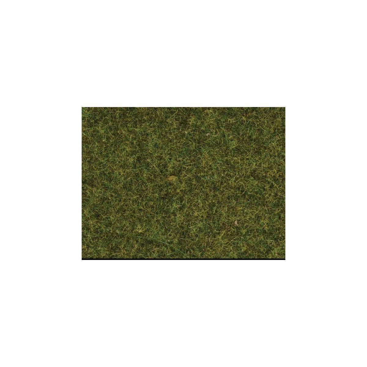 Scatter Material - .7oz 20g -- Meadow, All Scales, Noch Gmbh & Co 8361