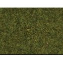 Scatter Material - .7oz 20g -- Meadow, All Scales, Noch Gmbh & Co 8361