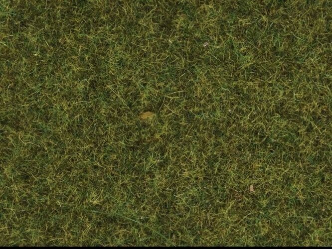 Scatter Material - .7oz 20g -- Meadow, All Scales, Noch Gmbh & Co 8361