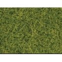 Scatter Material - .7oz 20g -- Light Green, All Scales, Noch Gmbh & Co 8363
