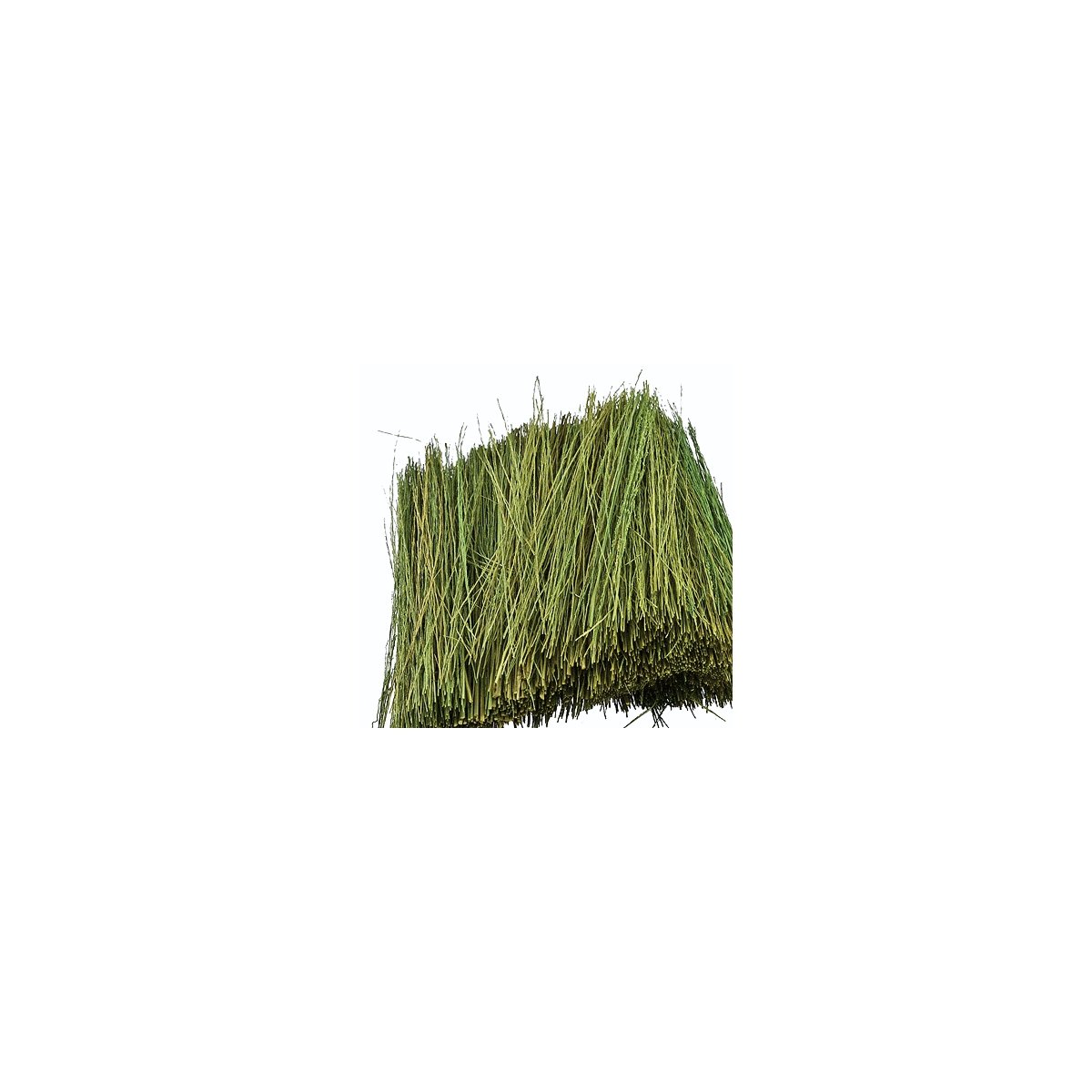 Field Grass - 1/2oz 15g -- Light Green, All Scales, JTT Miniature Tree 95086