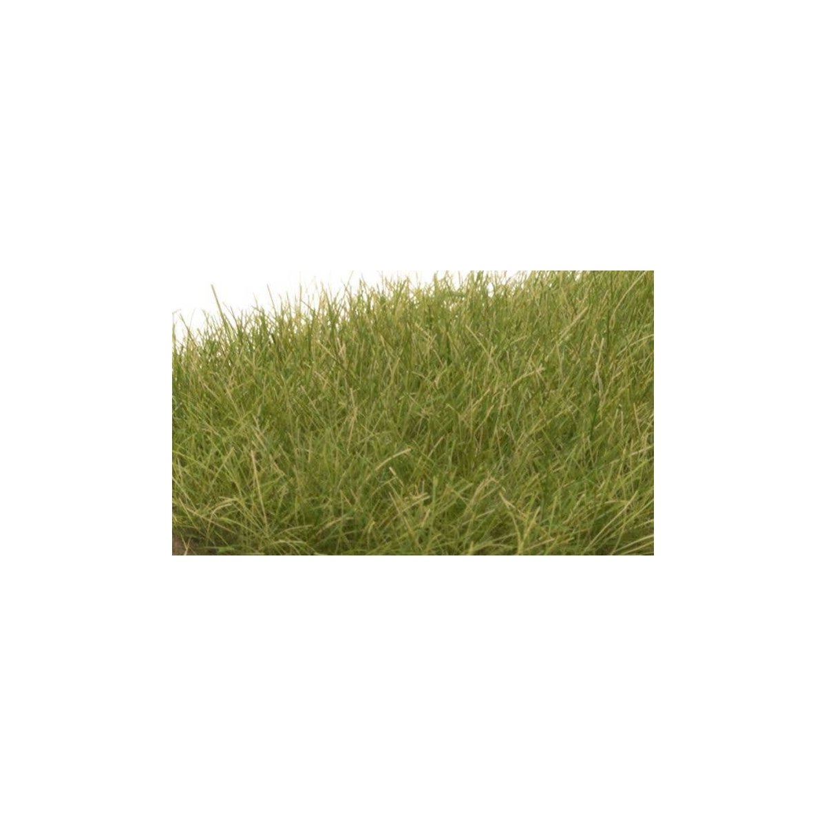 Static Grass - Field System -- Medium Green 1/2′ 12mm Fibers, All Scales, Woodland Scenics 626