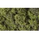 Fine Leaf Foliage(TM) - 75 Cu. In. 1.2 Cu. m. -- Light Green, All Scales, Woodland Scenics 1132