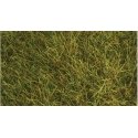 Wild Grass Pad - 11 x 5-1/2′ 27.4 x 14cm -- Pasture Green, All Scales, Heki/Mini Forest 1576