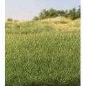 Static Grass 5/32′ 4mm Tall - All Game Terrain -- Medium Green, All Scales, Woodland Scenics 6572