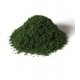 Weeds - All Game Terrain -- Spring Green, All Scales, Woodland Scenics 6449