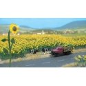 Sunflower Field -- Kit pkg(60), HO, Walthers SceneMaster 1119