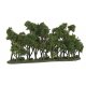 Hedge Row - Woodland Classics(TM) Ready Made Trees(TM) -- 8-1/4 x 1 to 4′ 20.9 x 2.5 to, All Scales, Woodland Scenics 3582
