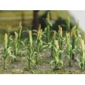 Corn Stalks -- 1′ 2.5cm Tall pkg(30), HO, Bachmann Industries 32501