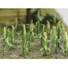 Corn Stalks -- 1′ 2.5cm Tall pkg(30), HO, Bachmann Industries 32501
