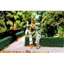 Ornamental Hedges & Shrubbery -- Boxwood Hedges (green) 24 x 3/4 x 1/2′, O, Scenic Express 510