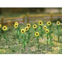 Sunflowers -- 1′ 2.5cm Tall pkg(16), HO, Bachmann Industries 32506