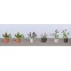 Assorted Potted Flower Plants -- Set 1 pkg(6), HO, JTT Miniature Tree 95565