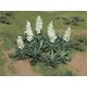 Yucca -- pkg(20), HO, JTT Miniature Tree 95611