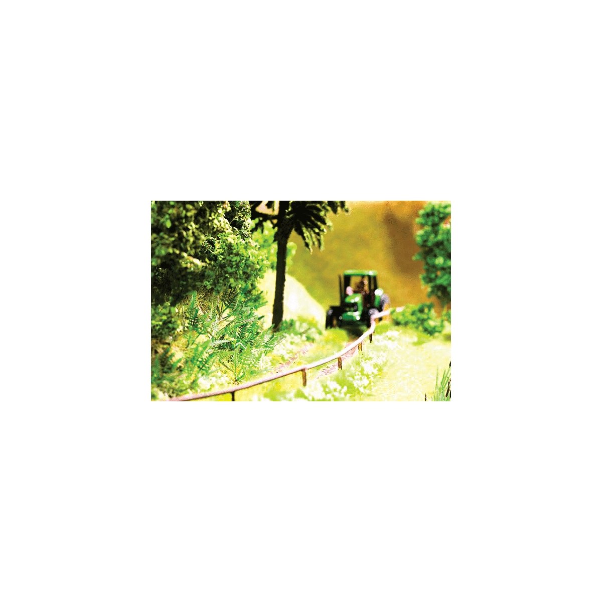 Ferns -- pkg(9), All Scales, Noch Gmbh & Co 14100