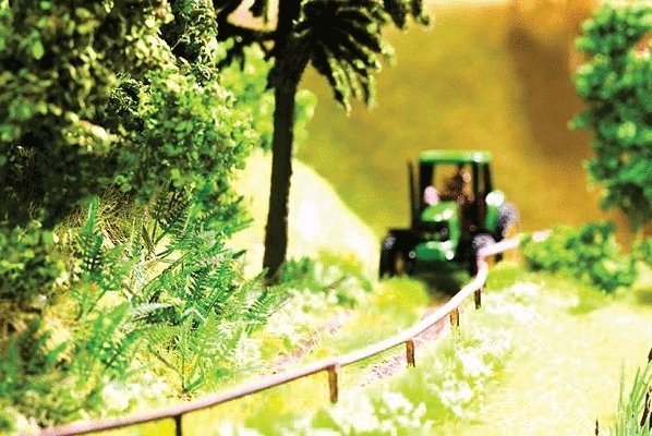 Ferns -- pkg(9), All Scales, Noch Gmbh & Co 14100