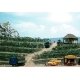 Grape Vines -- Kit - pkg(80), HO, Busch Gmbh & Co Kg 1200